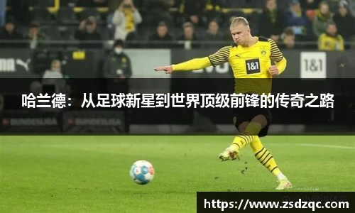 tyc9728太阳成集团